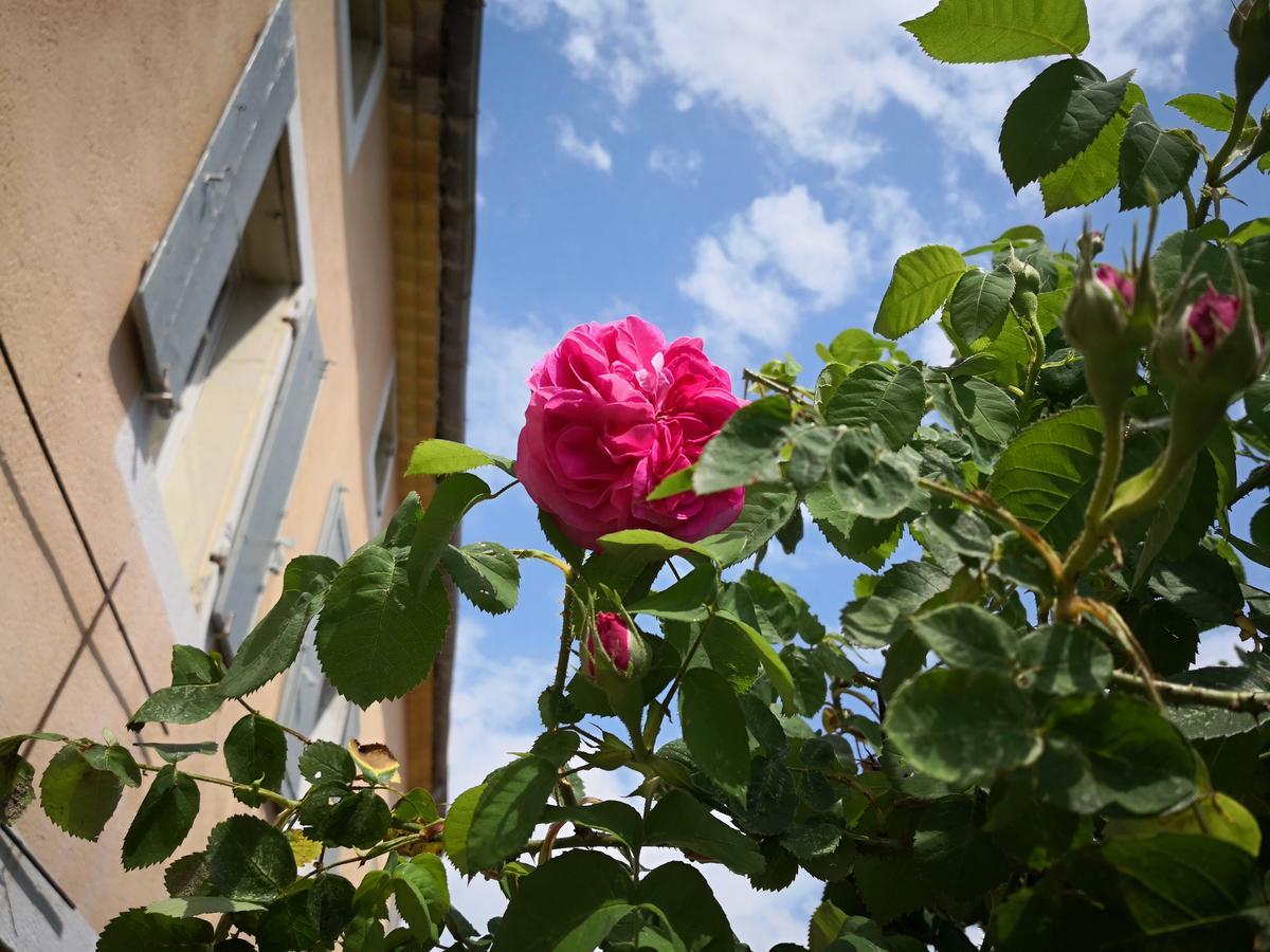 Maison D'Anvers Valréas Екстериор снимка